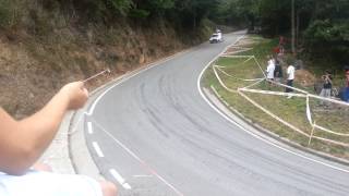 Rallye Principe de Asturias 2014