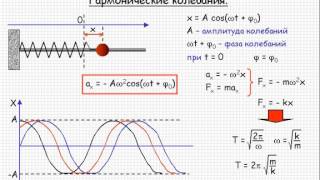 Колебания и волны  Гармонические колебания  Урок 115