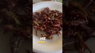 Chapulines 😋