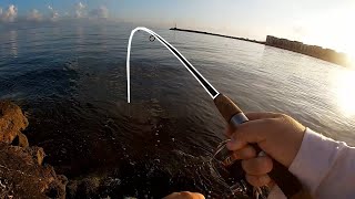 S8:E3 PESCA Con SEÑUELOS de SUPERFICIE | Top Water Lures | Pesca Progreso