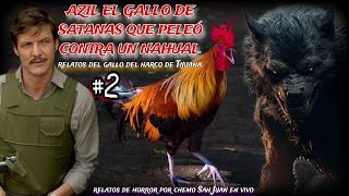 AZIL EL GALLO DEL DIABLO QUE PELEÓ CONTRA UN NAHUAL / experiencias REALES con los GALLOS del N4RC0.