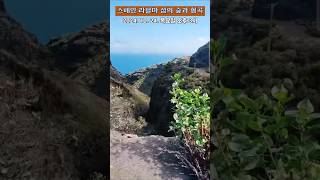 [풍경] 스페인 라팔마 섬의 숲과 협곡 ⛰️