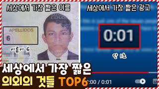 세상에서 가장 짧은 의외의 것들 TOP6