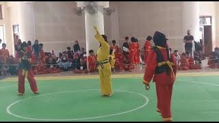 silat 7(4)