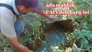 !!..ADA PENGHUNI LAIN DI LUBANG LEMBAT - MANCING LEMBAT BESAR || kir Yanto 77