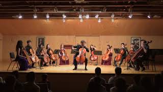 He Sihao - Haydn Concerto in D major for Cello and Orchestra