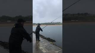 South sheilds peir fishing 2019