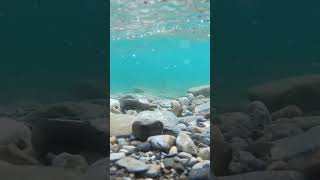 Lake Trout in the Rocky Mountains at Spray Lake