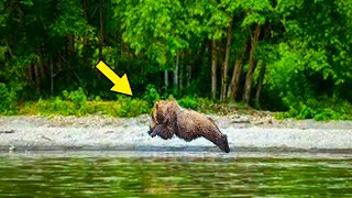 Ce Que Ce Drone A Découvert Dans La Forêt De Tchernobyl A Choqué Tout Internet !