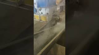 Intelligent pellet mill