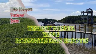 Wisata Favorit : Hutan Mangrove  Pandansari Brebes EPS.1 ( WISATA BREBES )