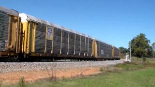 Norfolk Southern 28T Rerouting on the NS R Line (BMW Train)