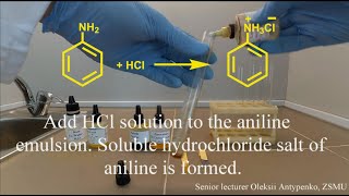 The basic properties of aromatic and aliphatic amines