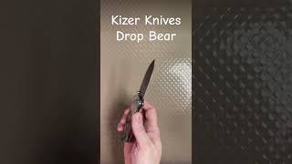 Kizer Knives Drop Bear #youtubeshorts #shorts #youtubeshort #short