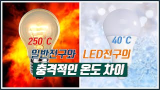 아무도 몰랐던 일반전구와 LED전구의 온도차이