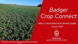 Badger Crop Connect Webinar Series 2024: Jul 24, 2024 When Grains do the Hokey Pokey Shawn Conley