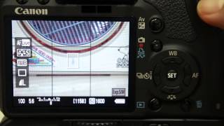 CANON 500D / Liveview / Contrast AF / AF Performance