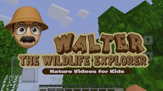 Walter's Minecraft World [Beta Test]