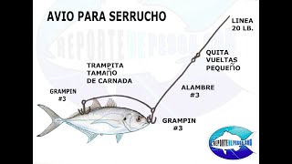 Tecnica de La trampita para pescar Serrucho Kingfish