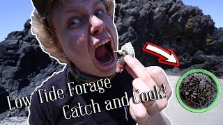 Low Tide Forage Catch and Cook-- Eating Weird Sea Creatures ft. Pk Yi (Oregon Coast Catch and Cook)