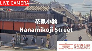 【LIVE】花見小路（京都市観光協会公式）／Hanamikoji Street, Kyoto Live camera