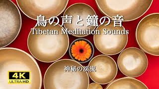 鐘の音とコバルトブルーの渓流, 鳥の声. 瞑想, 睡眠, Heal your mind, the beautiful sound of Tibetan bells.