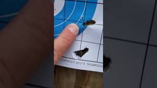 Here’s what an unstable bullet looks like.  #shooting #hunting #shortsvideo