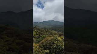 කෝච්චි පාරෙ උසම තැන 💚😍🌿 ඈතින් තොටුපළ කන්ද #nature #visitsrilanka #lk #trainvideo #srilankatravel