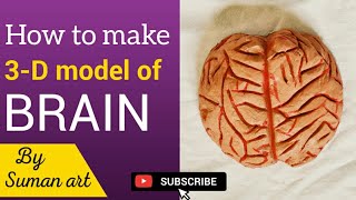 How to make a 3-D model of Brain for school project/activity