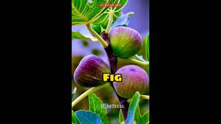 Favourite Food of Muhammad PBUH #shorts #youtubeshorts #status #islam #shortvideo #muhammad #quran