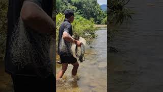 Fishing SKILL..!!! Keahlian Menangkap ikan sungai secara tradisional