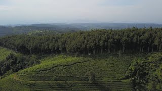 Footage Drone Cinematic Bukit Senyum Bandung Barat - View Gunung Burangrang 4K (004)