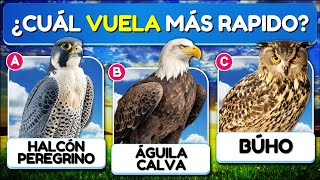 ✅31 Preguntas Sobre las "AVES" 🐓🦉🦆 | Test/Trivia/Quiz