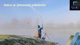 Odra w zimowej odsłonie