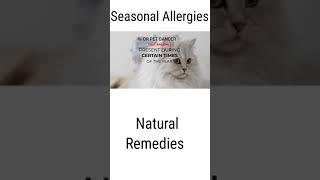 7 Natural Remedies to Cure Seasonal Allergies How to Feel Better Without Medication AI Avatar Doctor