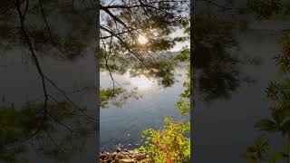 Sunrise at Walden Pond in Concord, Massachusetts. #thoreau #sunrise #asmr #gentlewaves