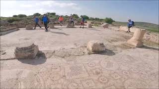 סרטון מטיול אופניים עם רוכבי הצפון - לכיש - השפלה במיטבה 18.3.2022