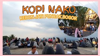 KOPI NAKO KEBON JATI PUNCAK BOGOR | Tempat Ngopi Nuansa Alam yang lagi Hits di puncak