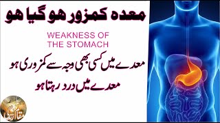 Maedy Mein Dard Ho WEAKNESS OF THE STOMACH