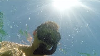 Snorkeling in Rocky Point, Mexico