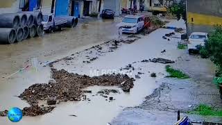 Severe floods trapped people and animals july 2022