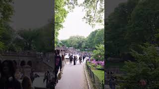 Central Park walk after the Met • Spring 2024 May 13 2024