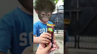 perfume lagave chunni  me monkey baby funny video 🐵🍫🍌🍼😂😅🤣🥳#monkey#funny#babyanimal #aaryavnaagar#dj