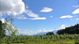 西村由紀江　夏の終わりに