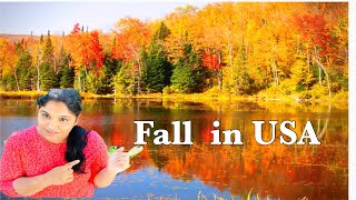 FALL COLORS IN USA||Telugu Vlogs from USA||Telugu Vlogs