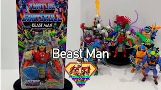 Beast Man - Turtles of Grayskull Toy Quickie Review by the GayComicGeek