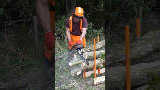 Bulk Log Sawhorse 3 (BLS-3H) #shorts #forestmaster #woodworking #sawhorse