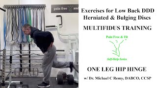 Degenerative Disc Disease Exercises for Degeneration, Herniated & Bulging Discs- One Leg Hip Hinge