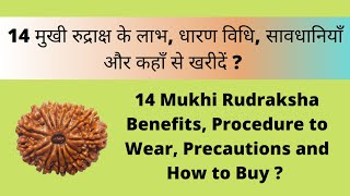 Everything About 14 Mukhi Rudraksha | Best Rudraksha to Protect from Black Magic