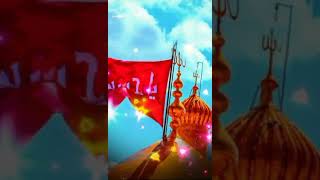 Alvida Alvida Ya Shaheede Karbala Hard Bass #Status #Shotrs #Video #Song